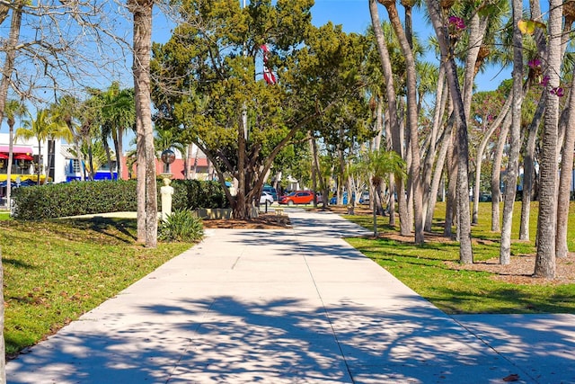 view of property's community featuring a lawn