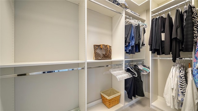 view of spacious closet