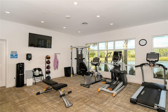 gym with carpet floors