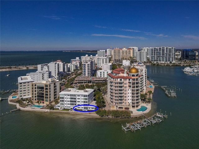 aerial view with a water view