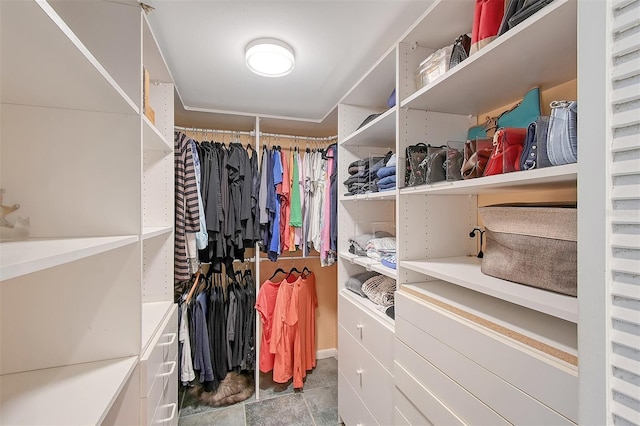 view of walk in closet