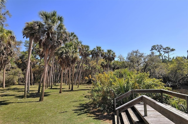 view of yard featuring a deck