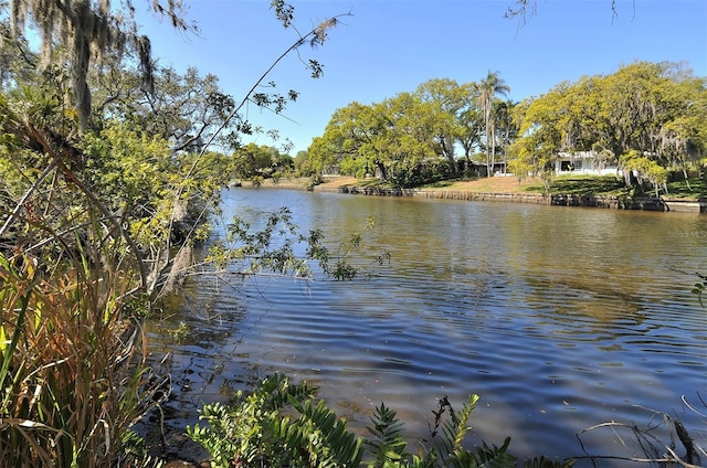 view of water feature