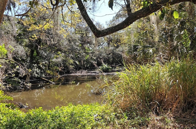 view of nature featuring a water view