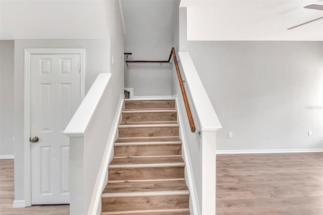 staircase featuring hardwood / wood-style flooring and ceiling fan