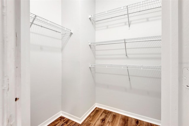 spacious closet featuring hardwood / wood-style floors