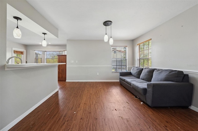 living room with dark hardwood / wood-style flooring