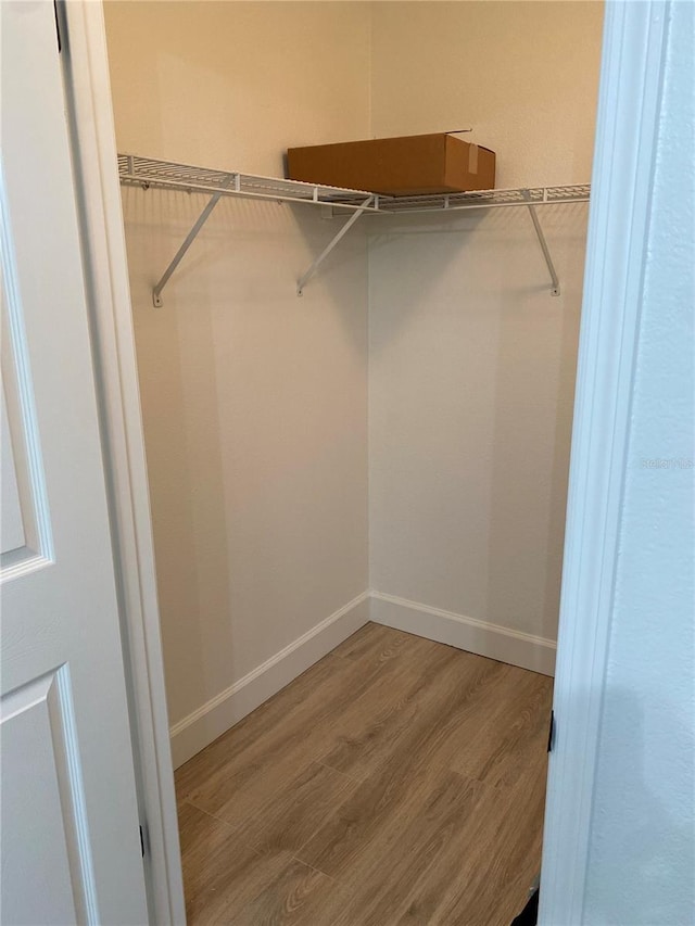 walk in closet featuring hardwood / wood-style floors