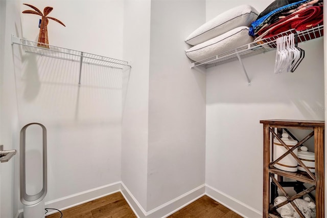 spacious closet with wood-type flooring