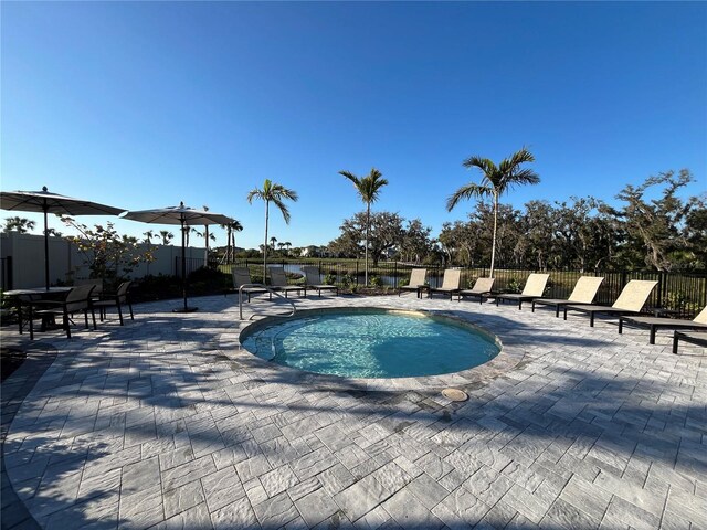 view of pool with a patio