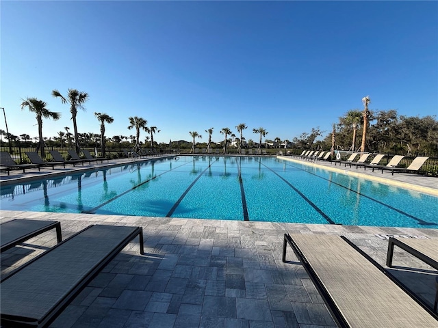 view of swimming pool with a patio