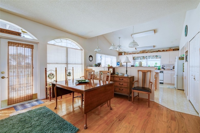 home office with vaulted ceiling, ceiling fan, a textured ceiling, and light hardwood / wood-style flooring