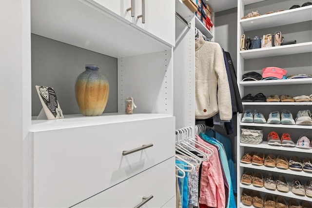 view of walk in closet