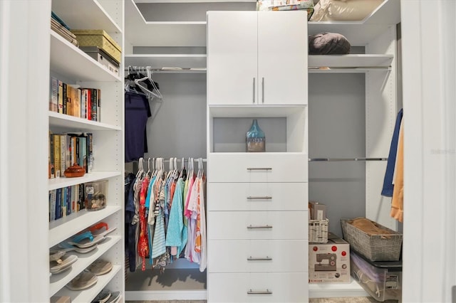 view of spacious closet