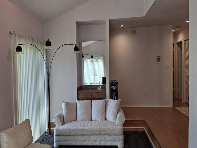 living room featuring lofted ceiling and hardwood / wood-style floors