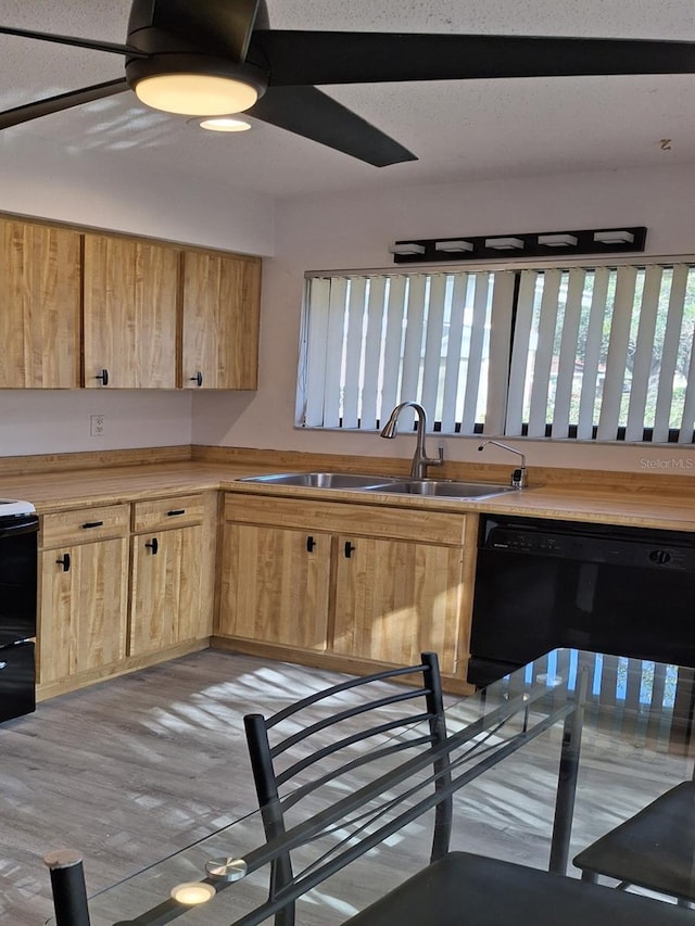 kitchen featuring stove, sink, black dishwasher, and ceiling fan