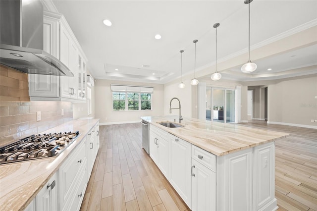 kitchen with wall chimney exhaust hood, sink, a raised ceiling, stainless steel appliances, and a large island