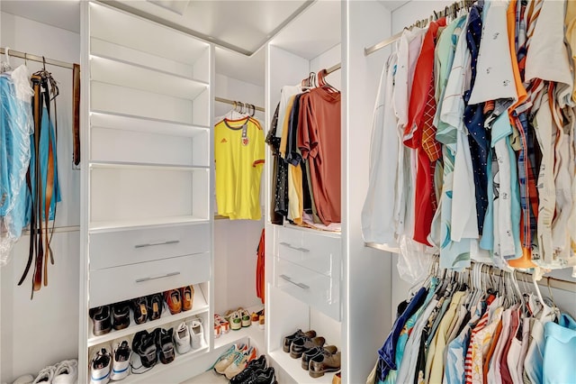 view of walk in closet