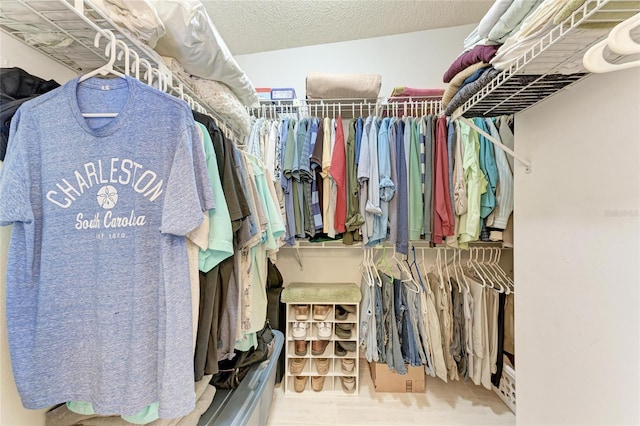 view of walk in closet