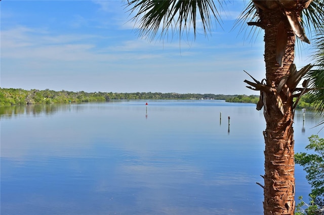 view of water feature