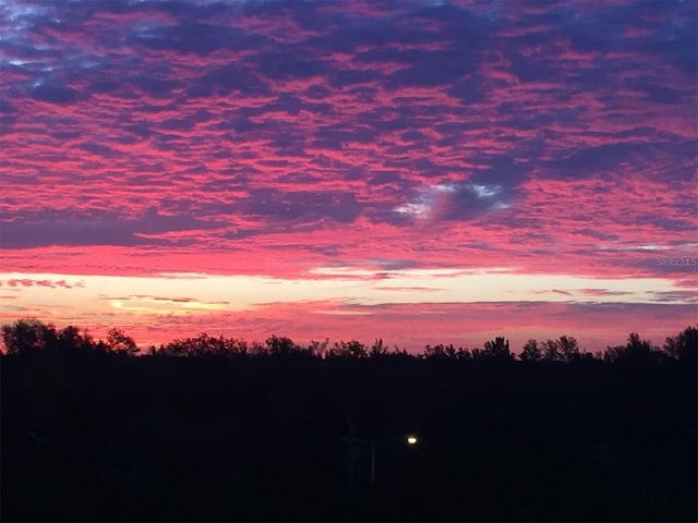 view of nature at dusk