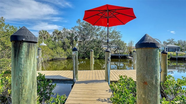 dock area with a water view