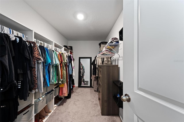 walk in closet featuring light colored carpet