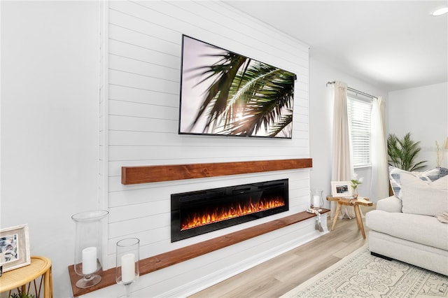 living area featuring a fireplace and wood finished floors