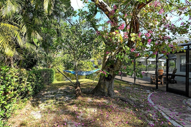 view of yard featuring glass enclosure and a patio