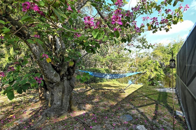 view of yard with fence