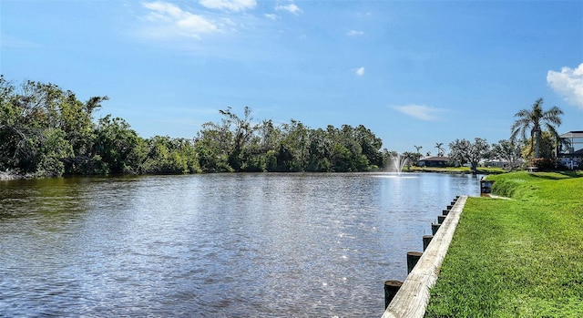 view of water feature