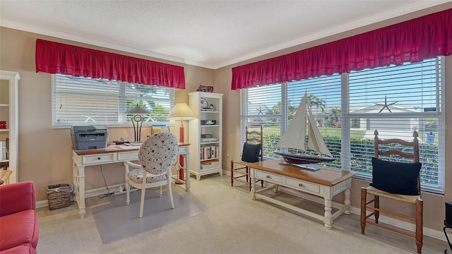 office area with crown molding, carpet, and a textured ceiling