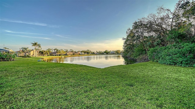 property view of water