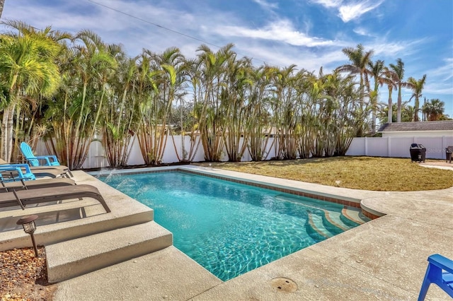 view of swimming pool featuring a patio and a lawn