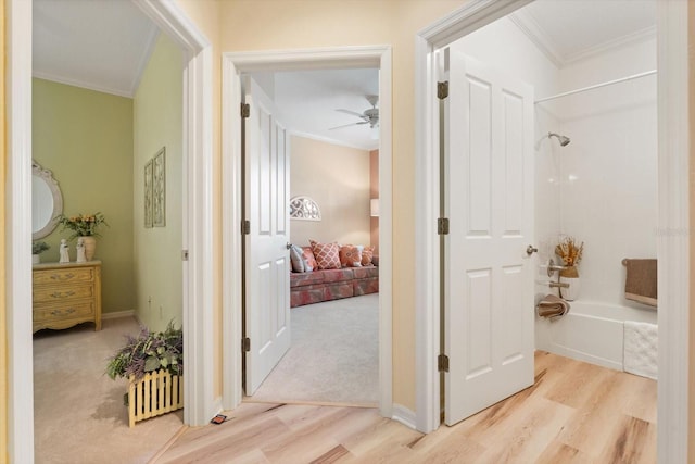 hall featuring ornamental molding and light wood-type flooring