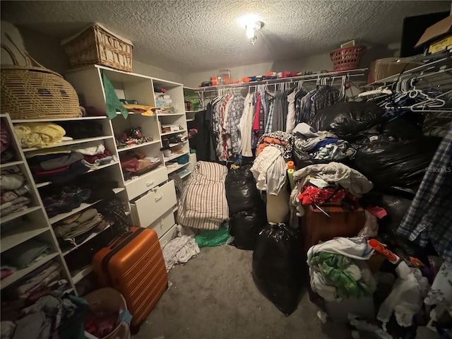 spacious closet with carpet flooring