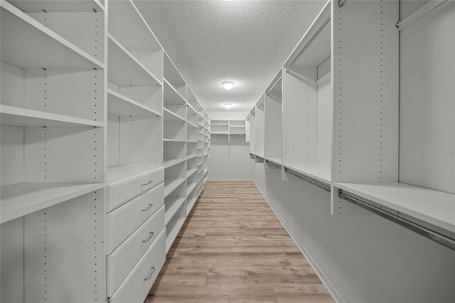 walk in closet with light hardwood / wood-style floors