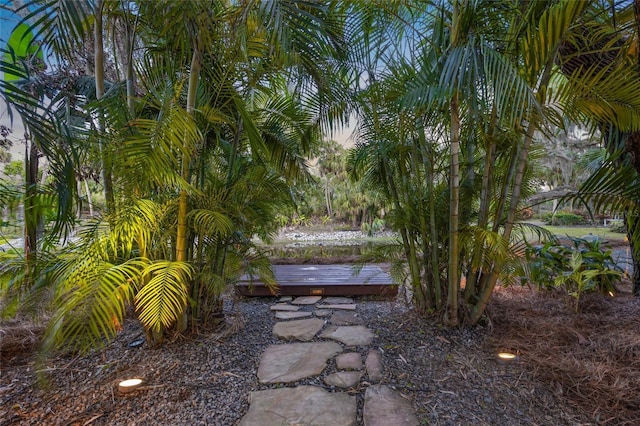 view of yard with a wooden deck