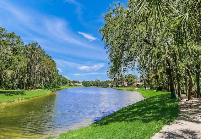 property view of water