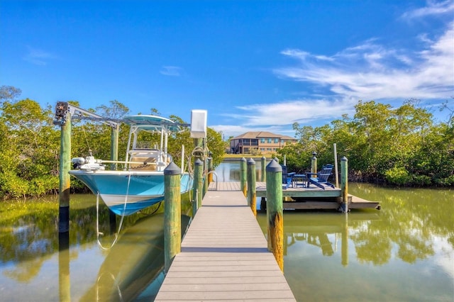 dock area featuring a water view