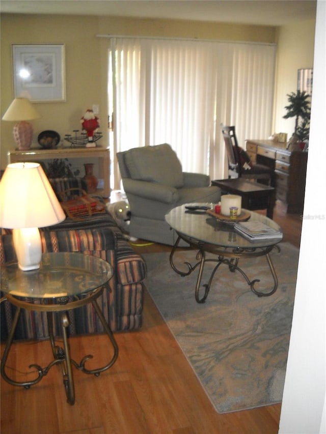 living room featuring hardwood / wood-style flooring