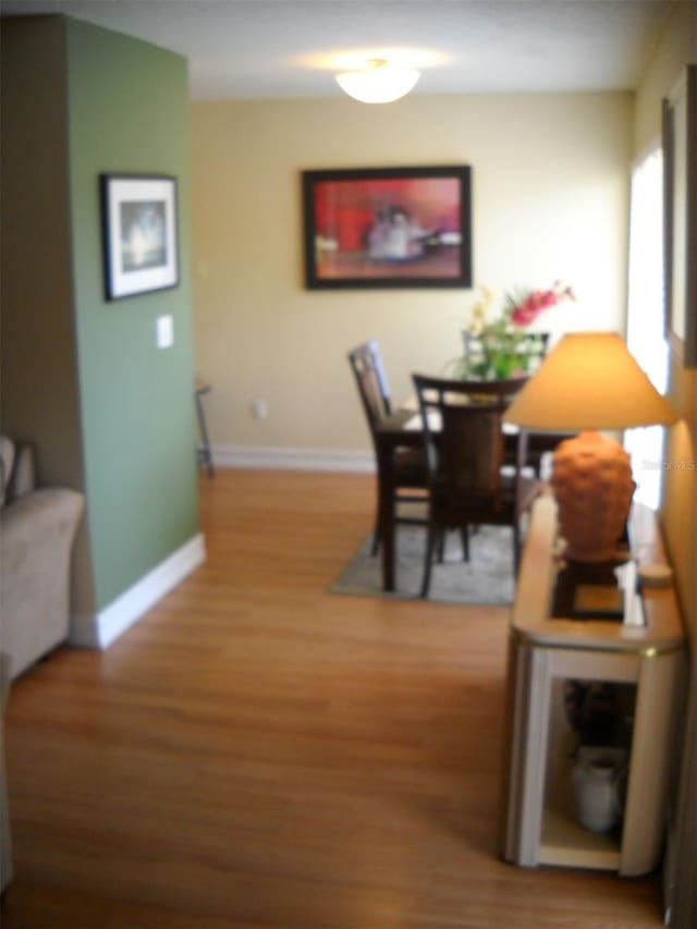 dining room with wood-type flooring