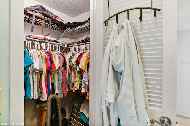 spacious closet featuring carpet floors