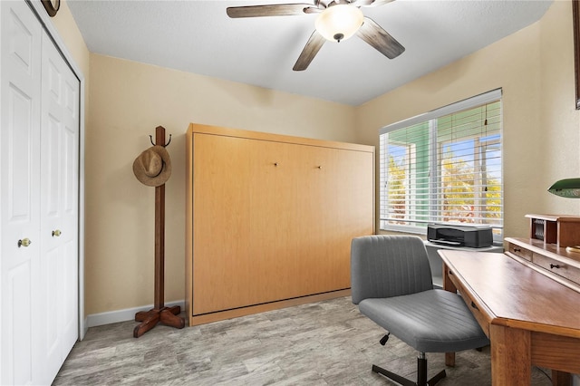 office featuring ceiling fan and light hardwood / wood-style floors