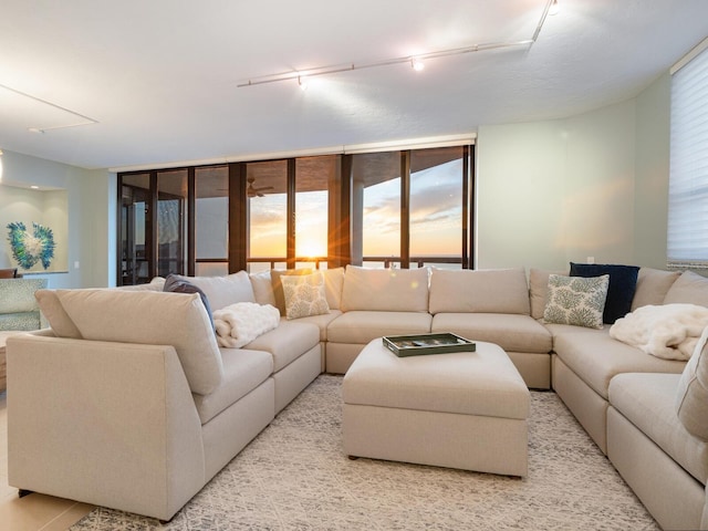 living room with a wealth of natural light and track lighting