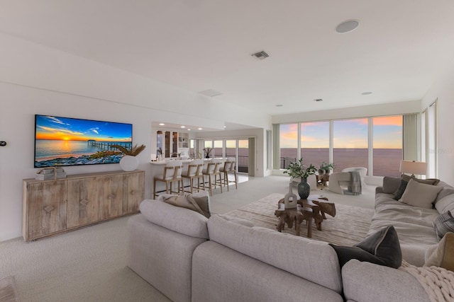 carpeted living room featuring a water view