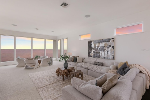 carpeted living room with a water view