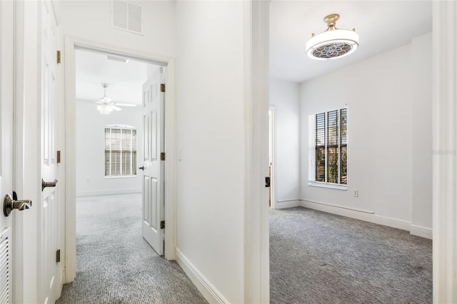 hallway featuring carpet floors