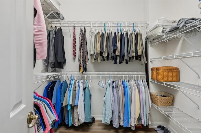 spacious closet featuring dark wood-type flooring