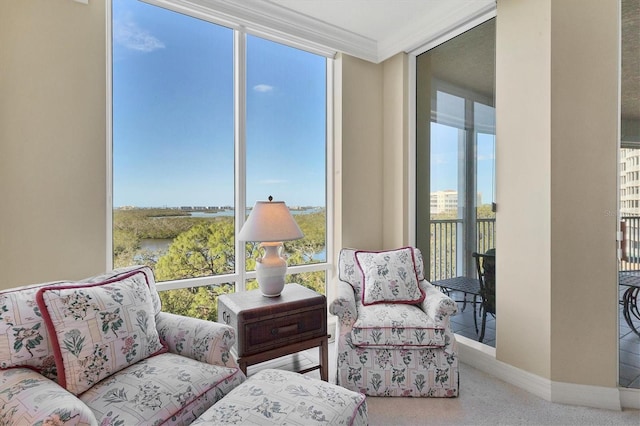 living area with a wall of windows and ornamental molding